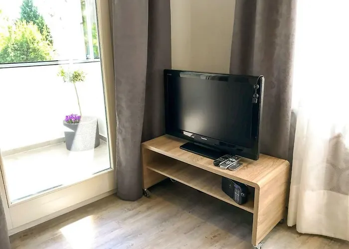 Schoene, Neue Am Rhein Und Mit Balkon * 莱茵河畔的宾根